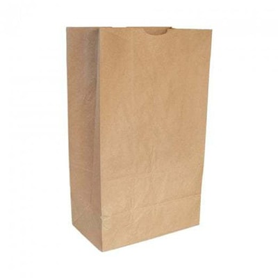 Brown Paper Bags - plain